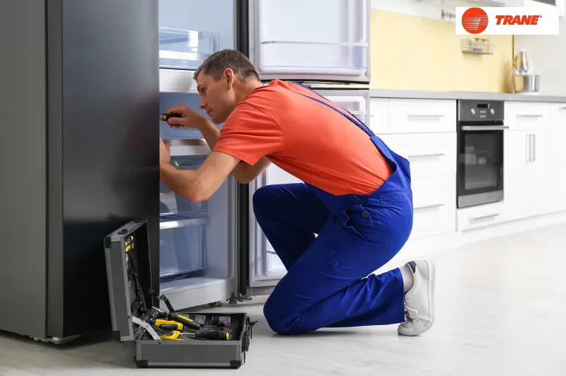 صيانة ثلاجات ترين